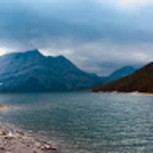 Meet your Posher, Sparrow